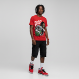 Toro Bravo 4s DopeSkill T-Shirt Stressless Graphic