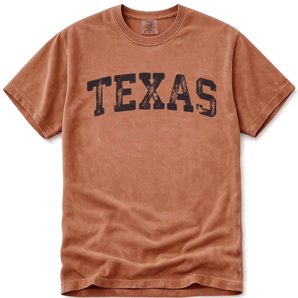 Vintage Comfort Colors Texas Shirt